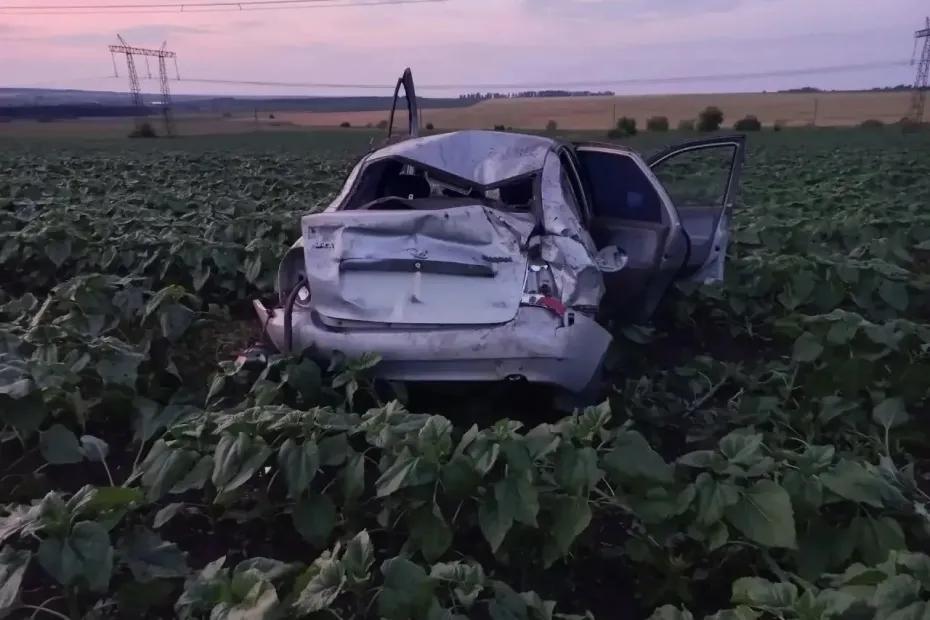 Смерть среди подсолнухов: в сызранскую больницу доставили раненых в аварии в поле