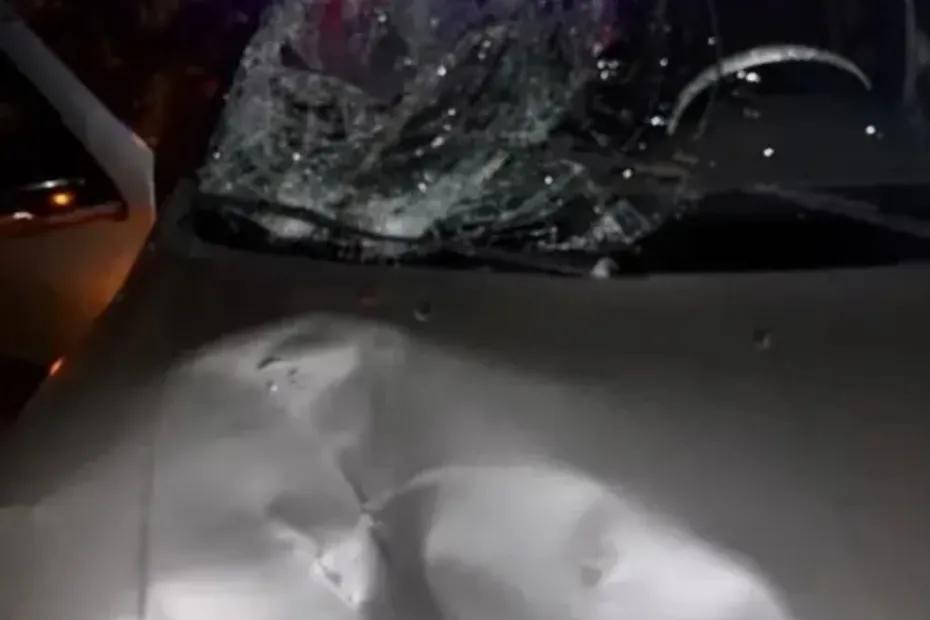На трассе в Самарской области в темноте насмерть сбили мужчину - появились подробности