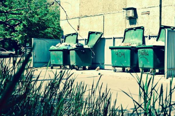 Мусор отдельно, ботва отдельно: новые платежи, которые не понравятся дачникам и жильцам частных домов