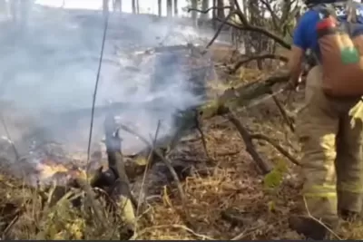 В Самарской области третий день горят травы и леса - видео