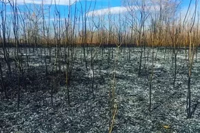 Сегодня три часа бушевал огонь в одном из районов Сызрани