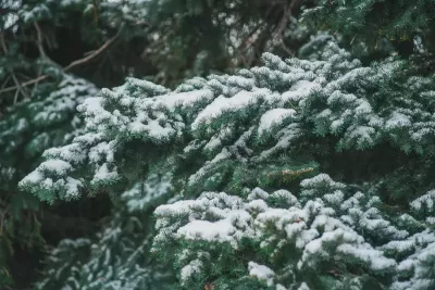 Сызрань побелела: в городе выпал первый снег