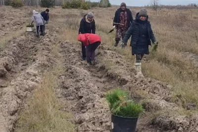 И меч Колесова пригодился: под Сызранью скоро зашумят сосны