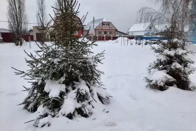 Народные приметы на 16 января: как уберечь в Гордеев день свой дом от врагов и разгула зла