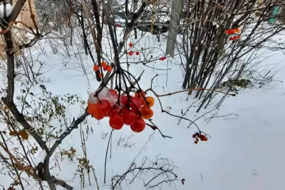 Народные приметы на 22 января: что считается в Филиппов день большим грехом и почему надо ставить тапочки носками к порогу