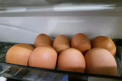Диарея, рвота, жар: почему куриные яйца могут убить человека