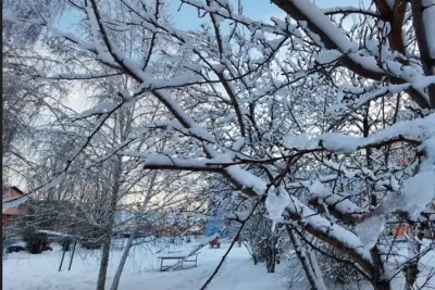 Одни требуют не давать пощады, другие готовы лечь под машины: в ряде районов Сызрани разгорелась война