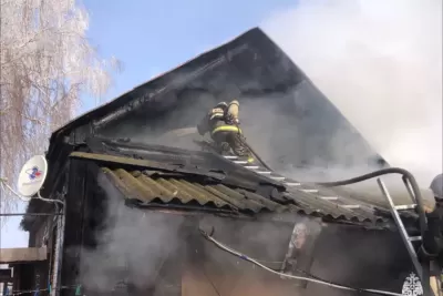 Под Сызранью спасали людей из горящего дома: фото