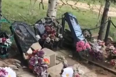 Разрушили 47 могил: российские школьники устроили погром на кладбище