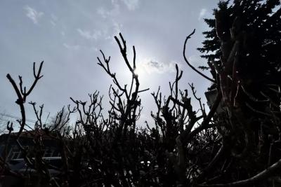 Народные приметы на родительскую субботу 22 февраля: кому блины принесут счастье и что испугает покойников в вашем доме