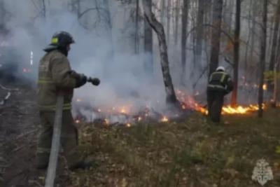 Масштабные пожары ожидают уже в марте: разгорится ли снова Рачейский бор под Сызранью?