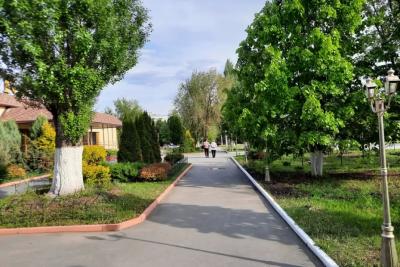 Народные приметы на 29 июня: зачем выносить одеяло на улицу и что нельзя приносить в дом - иначе беда