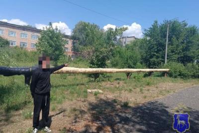 Гоп-стоп по-сызрански: гангстер сорвал с пенсионерки золотую цепочку чтобы расплатиться с долгами