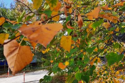 Сентябрь порадует: синоптик назвал сроки начала затяжного бабьего лета