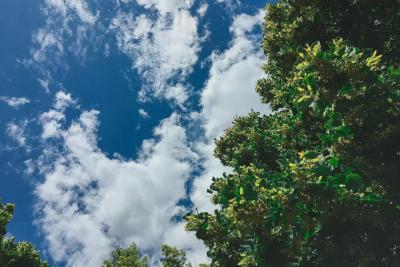 Народные приметы на 2 сентября: чем расчесать волосы, чтобы разбогатеть и почему мужчинам надо взять выходной