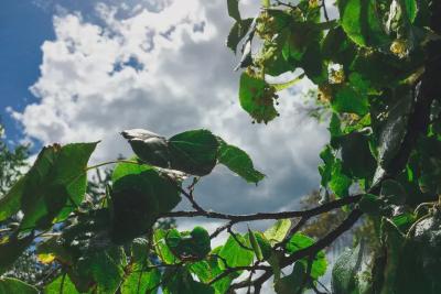 Народные приметы на 7 сентября: кому в Варфоломеев день судьба принесет нищету, а кому - богатырское здоровье