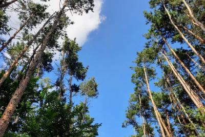 Народные приметы на 8 сентября: что принесет в дом достаток, и что запрещено делать женщинам - иначе беда