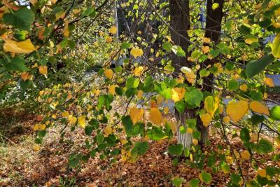 Народные приметы на 12 сентября: что надо съесть, чтобы стать богатым и почему опасно одалживать соль