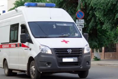 В Самарской области введен карантин: смертельный вирус передается людям при укусе