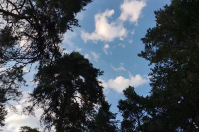 Народные приметы на 17 сентября: почему нельзя в этот день одалживать деньги и что будет тому, кто наденет темную одежду