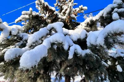 Вильфанд обескуражил своим прогнозом: часть страны уже в сугробах