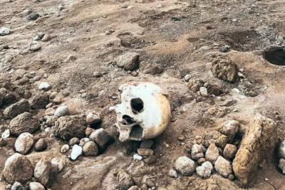 Пляж мертвецов: берег Волги усыпало человеческими останками - жуткие фото