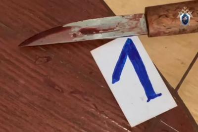 Вооружившись молотком школьница пошла убивать свою мать и младшего брата - видео