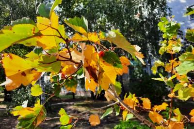 Народные приметы на 10 октября: кому удача подарит сладкую жизнь и кто рискует в этот день не вернуться домой