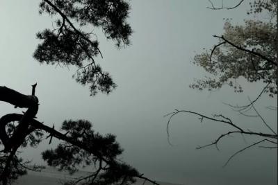 Основное правило - минимизировать контакт: до пятницы Сызрань будет в особой зоне