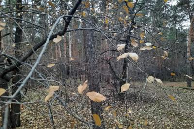 Народные приметы на 17 октября: как отогнать злых духов, почему нельзя пускать в дом незнакомцев и зачем в этот день пьют «Ерофеича»