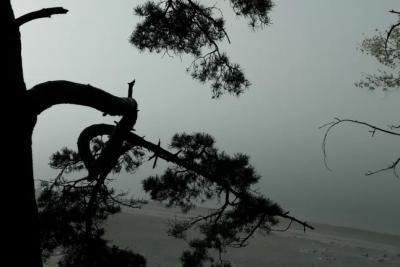 Ближе к вечеру на дорогах Самарской области станет еще хуже