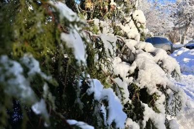 Раньше и не ждите: в Гидрометцентре сообщили, когда придет настоящая зима