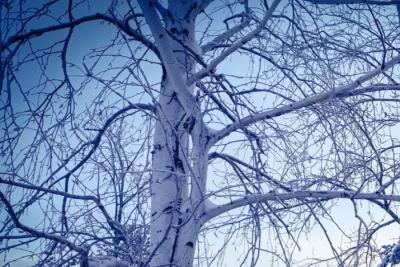 Народные приметы на 27 октября: кому придется много плакать и чья судьба в этот день решится раз и навсегда