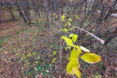 Народные приметы на 6 ноября: кому в Афанасьев день судьба принесет деньги , квартиру и долгую счастливую жизнь