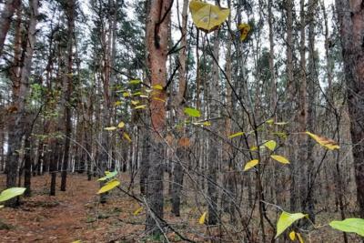 Народные приметы на 10 ноября: кому в этот день судьба принесет исполнение мечты, а кому - обман и страшную болезнь