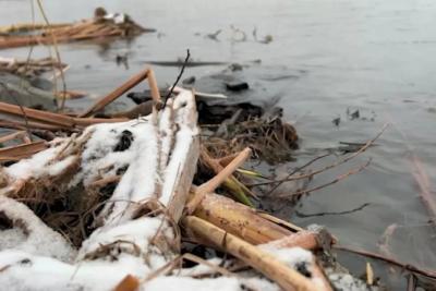 Реки в Сызрани и Самарской области могут замерзнуть раньше времени