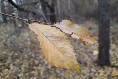 Народные приметы на 11 ноября: как не накликать на себя сто бед и почему в этот день нельзя общаться с незнакомцами