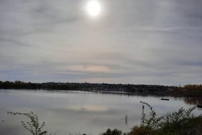 Народные приметы на 13 ноября: кому птицы принесут счастье и зачем класть в карман зеленую нитку