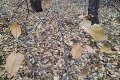 Народные приметы на 16 ноября: молчите и никого не пускайте в дом - вас ждет тревожный день