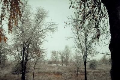 В Сызрани падает снег, а погода готовит новые сюрпризы - один хороший, другой плохой