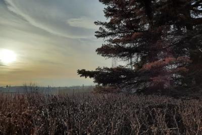 Народные приметы на 19 ноября: что надо сделать, чтобы избавиться от бед и кому грозит нищета