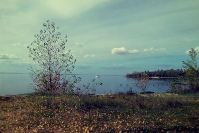 Под Сызранью рыбака от уголовного дела  спас патриотический акт - фото