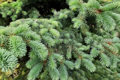 Народные приметы на 22 ноября: что выбросить из дома, чтобы разбогатеть и почему женщинам опасно красить губы