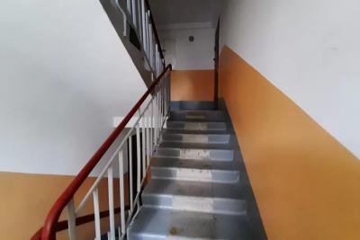 Это не квартира, а место для собачьей бойни: в многоэтажке Сызрани назревает большой скандал