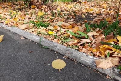 Народные приметы на 26 ноября: почему в этот день боялись Зюзю и что нужно съесть, чтобы быть счастливым и богатым