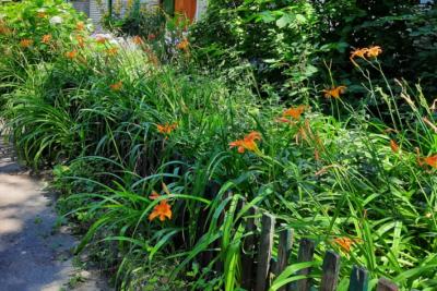 Если хищный червь Обама прорвется в Россию, то мало не покажется - последние новости