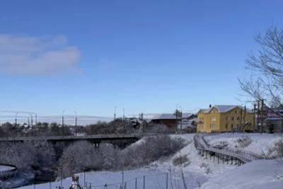 Где в Самарской области жители сидят на карантине: кто разносит смертельную заразу
