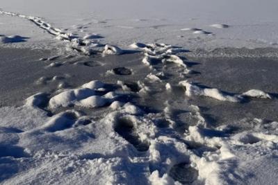 На Волге у Климовского моста рыбаки спасались бегством - появились подробности