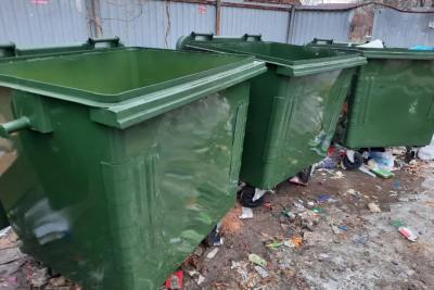 Женщина попросила убийцу сделать ей одолжение на сызранской помойке - фото