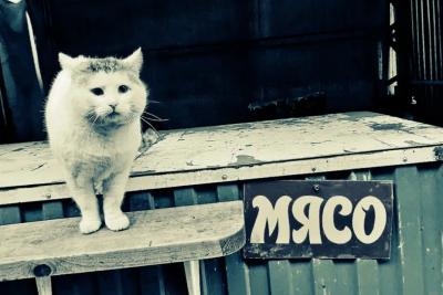 Тихий каннибал убивал людей, чтобы кормить свежим мясом любимую кошку